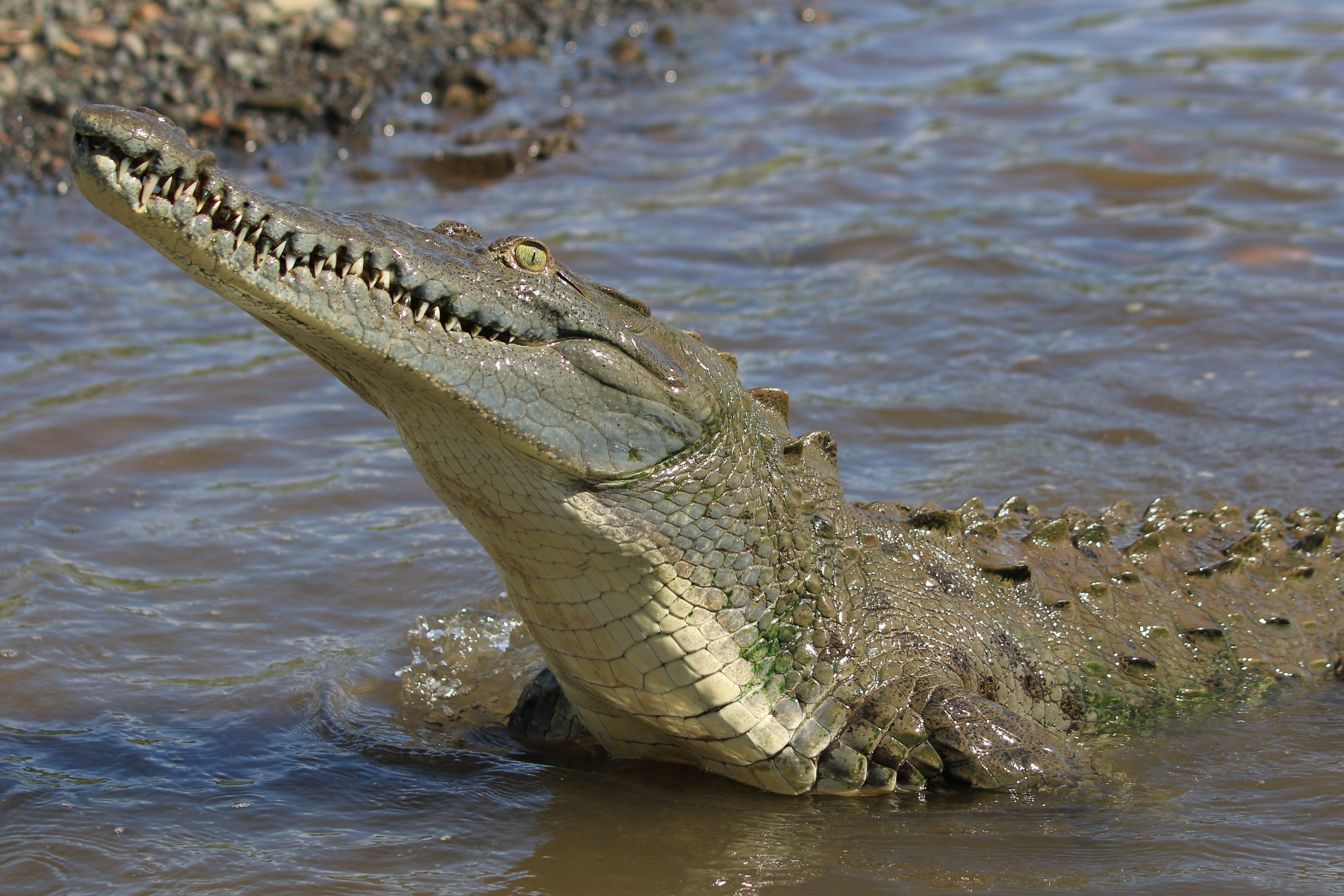 Costa Rica